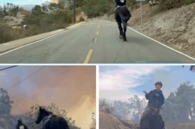 Riding Through the Flames: How a 16-Year-Old Saved a Horse Named Sovereignty.