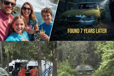 🔥 HORRIFYING VANISHING AT NIAGARA FALLS: ENTIRE FAMILY DISAPPEARS IN AN INSTANT – DRONE FOOTAGE REVEALS SHOCKING SECRETS! 🔥