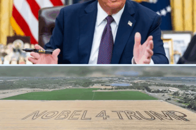 “HONORING TRUMP: Israeli Farmers Send a Stunning Message of Gratitude — Carving Words Into a Field to Thank President Trump for His Role in Brokering the Historic Israel-Hamas Peace Plan, A Gesture That Has Captivated the World and Sparked Widespread Attention Across Social Media.”