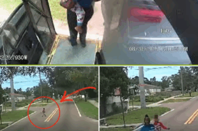 “Tampa Bus Driver and Grandmother Barbara Baker Hailed as a Hero — Her Quick Thinking Saves a Lost Child From a Busy Florida Street, Prompting a Call for Help and Earning Widespread Praise From the Community for Her Courage and Life-Saving Actions.”