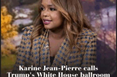 🔥 Karine Jean-Pierre SNAPS on Live TV! 🔥 “The powers in D.C. are acting like they’re powerless,” the former White House press secretary fumed — staring straight into the camera. “You all have power. Do something with it.” 😳