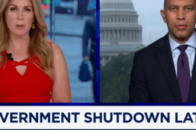 🚨 LIVE TV MELTDOWN: Hakeem Jeffries EXPOSED for Hypocrisy 😳 The House Minority Leader just got torched on air when a reporter hit him with the truth: “What you’re asking Republicans to do when they control the White House, Senate, and House is what the Democrats couldn’t do when YOU controlled all 3 branches!