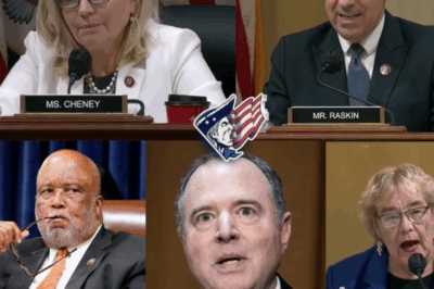 ChatGPT said: 🚨 BREAKING BOMBSHELL 🚨 A 2016 court deposition has reportedly revealed that Tom Pritzker, billionaire cousin of Illinois Gov. JB Pritzker, was named by Epstein accuser Virginia Giuffre — alleging a sexual encounter tied to the Jeffrey Epstein network.