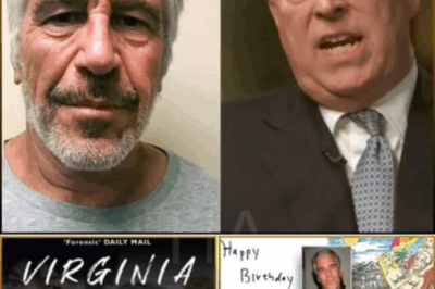 🚨 Virginia Giuffre’s Final Bombshell — Memoir Set to Expose Hollywood, Politics & Royals! 💥😱