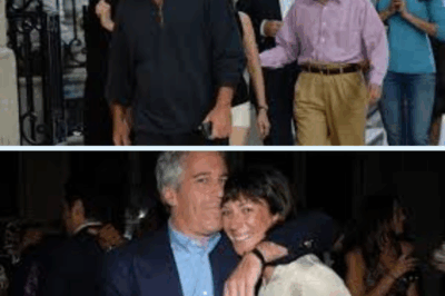 🚨 Hollywood Bombshell: Woody Allen Just Blew the Epstein Scandal Wide Open 💣😱
