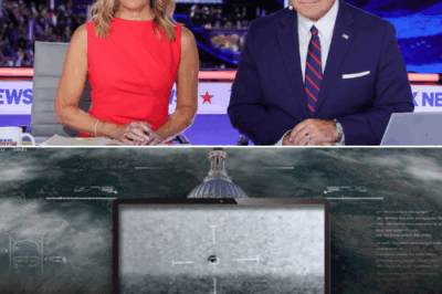 ‘They’re not human’: Watch government officials BREAK silence on non-human life