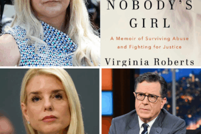 “If turning the page scares you,” Stephen Colbert warned, “you’re not ready to face what the truth really looks like.”