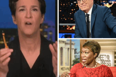 “No corporate strings. No teleprompters. Pure, unfiltered truth.” Maddow, Colbert, and Reid have detonated a media bomb, creating a newsroom that tears through conventions, serves ruthless investigations, and connects directly with viewers craving news that actually bites.