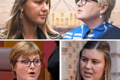 In a shocking revelation, Linda Reynolds has shared the pivotal moment she chose to confront Brittany Higgins in a high-stakes defamation battle — a battle she has now won. “I had to stand up,” Reynolds said, describing the personal and professional considerations that led her to one of the most public legal battles in history