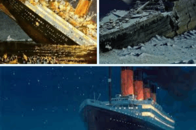 🌌 The Untold Story Hidden Beneath the Waves | The Deep Sea Mystery They Tried to Hide!