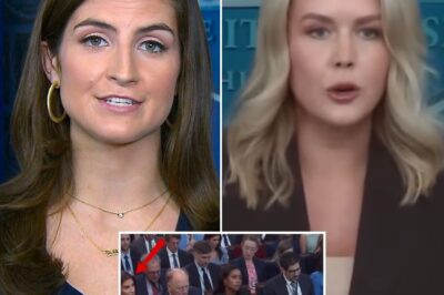 Reporter Interrupts Karoline Leavitt During Briefing — What Happened Next Left the Room in Silence