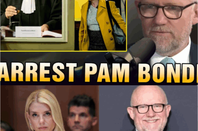 “🚨COURTROOM ERUPTION🚨 Judge ORDERS Immediate ARREST After Pam Bondi Is Accused of Removing Key Documents — Chaos Explodes, Lawyers Panic, and Rick Wilson Says the Footage Raises Questions NO ONE Was Ready For. What Did the Judge See That Triggered This Instant Order?”