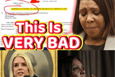 💥SHOCKING MISTAKE💥 Pam Bondi’s Blunder Threatens to COMPLETELY NUKE Letitia James’ Case — Legal Experts Say Nothing Like This Has Happened Before!