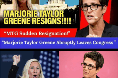 🚨 MARJORIE TAYLOR GREENE ABRUPTLY RESIGNS — Rachel Maddow Reacts!