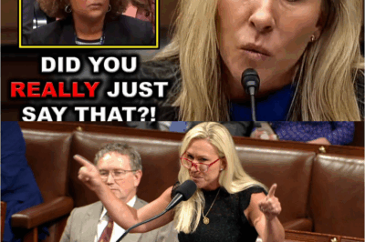 🔥 SHOCK COLLAPSE: MTG Gets DOMINATED by Experts She Tried to Humiliate — And the Room LOST IT