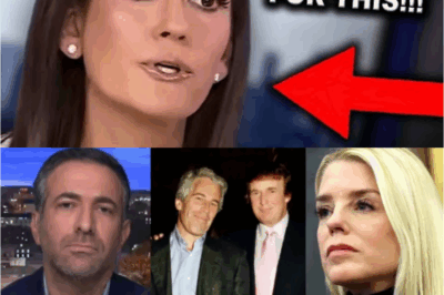 “💥Fox Host FLIPS OUT on Live TV, EXPOSES Colleagues’ Epstein Cover-Up — Chaos Erupts as Everyone is LEFT SPEECHLESS!”