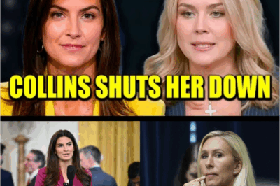 “💥Kaitlan Collins FLIPS THE SCRIPT on Live TV—Exposes MAGA’s Biggest Lies, Leaves Tucker Carlson, Marjorie Taylor Greene, AND Ron DeSantis Stunned!”