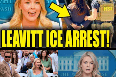 🔥 “BREAKING CHAOS: ICE RAID TRIGGERS TOTAL MELTDOWN Inside the Leavitt Family Home — What Agents Found Has America in SHOCK!”