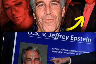 🚨 GLOBAL SHOCKWAVE 🚨 The sealed Epstein documents have finally been revealed… and what they contain is darker, deeper, and more explosive than anyone expected.