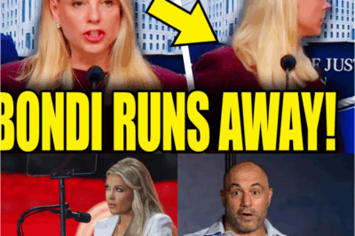 🔥 Joe Rogan LEFT SPEECHLESS! 🔥 An expert just exposed Erika Kirk’s REAL intentions, and Joe Rogan’s reaction says everything.