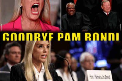 🚨 BREAKING: PAM BONDI ON THE BRINK! 🚨 After a judge revealed alleged unlawful acts, Pam Bondi now faces imminent arrest, leaving the courtroom and the nation in shock.