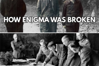 “Codes They Never Knew Were Broken: Germany’s Greatest Intelligence Failure of World War II” The Germans, confident in the unbreakable complexity of the Enigma machine, transmitted their most secret naval orders across the Atlantic, unaware that the British at Bletchley Park were reading every message in real time. Their mistaken belief cost them millions of dollars and changed the outcome of the war.
