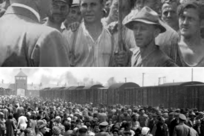 If Jews had formed an army and taken a stand against the Nazis, could they have saved the lives of their people?