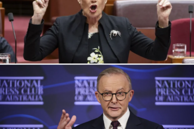 “DON’T YOU DARE TOUCH MY PEOPLE, AND STOP TRYING TO DESTROY THIS COUNTRY.” In an explosive parliamentary moment, Pauline Hanson erupted after a provocative remark from Anthony Albanese, grabbing the microphone and delivering a defiant warning that silenced the chamber. For five heart-stopping seconds, everyone froze, while her follow-up declaration of loyalty and national pride ignited an unstoppable storm across social media.