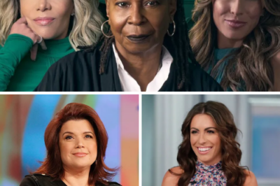 Social media erupted with claims that *The View* was in freefall, losing millions of viewers after a controversial episode—but the real story couldn’t be more different. Official Nielsen data reveals a record-breaking season, with viewership consistently surpassing last year’s numbers. What looks like a collapse online is actually a shocking triumph, exposing the viral ratings panic as pure fiction.