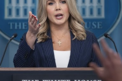 “Press Secretary Clashes With Reporter in Explosive Briefing After Tough Questions Go Unanswered — A Heated Exchange That Left the Room Tense and Sparked Immediate Debate Over Transparency.”