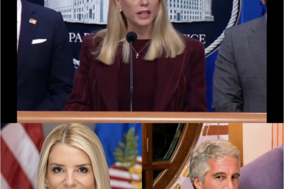 BREAKING: Pam Bondi Drops MAJOR Epstein Announcement — A Sudden, Jaw-Dropping Reveal That Sent Newsrooms Scrambling, Sparked Instant Online Frenzy, and Raised Explosive New Questions About What She Knows, Why She Spoke Out Now, and How This Could Shift the Entire Conversation Around the Epstein Case