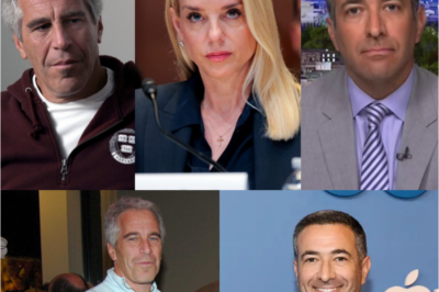 “Epstein Evidence Shakes Washington: Three Federal Judges Move to Unseal Long-Protected Grand Jury Materials — Ari Melber Breaks Down Why the Sudden Legal Shift Could Spell a New Legal Nightmare for Donald Trump, Triggering a Wave of Speculation, Panic, and Urgent Questions Across the Political Landscape”