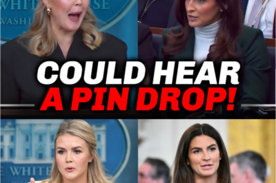 “Karoline Leavitt SHUTS DOWN a Smug CNN Host in a Tense On-Air Moment — What Happened Next Left the Studio Silent and Viewers Debating Who Really Won the Exchange.”