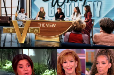 “🚨 The View MELTDOWN: Navarro, Hostin, and Haines Spark Backlash After On-Air Self-Reflection Segment Leaves Viewers Asking Why the Audience Is Tuning Them Out.”