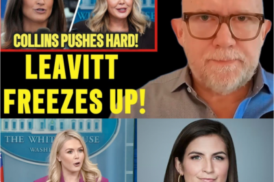 “Karoline Leavitt Appears Stunned as Kaitlan Collins Presses Her on Economic Claims Live on Air — A Tense Exchange That Sparked Immediate Reactions and Debate, According to Rick Wilson.”