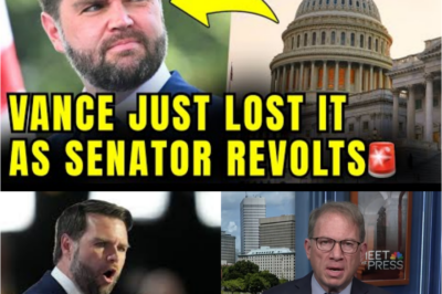 “🚨 JD Vance CLASHES With Fellow Senator in Explosive New MAGA Infighting — A Public Showdown That Exposes Deep Divisions, Escalating Rhetoric, and a Growing Civil War Inside the Republican Movement.”