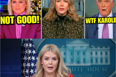 “Karoline Leavitt Appears on Edge as Fox News Hosts Press Her With Tough Questions — A Tense Exchange That Sparked Immediate Reactions and Left Viewers Debating Whether She Was Caught Off Guard.”