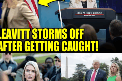 🚨Karoline Leavitt STORMS OUT of Press Briefing as Her Biggest Lies EXPLODE—The Public Can’t Believe What Happened Next!