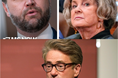 🚨 “JD Vance Won’t Like This”: Morning Joe REACTS to Susie Wiles’ STUNNING Interviews — Media Scrambles, Trumpworld Tensions Spill Into the Open, Power Dynamics Shift Behind the Scenes, and One Quiet Comment Suddenly Has Washington Buzzing About Loyalty, Leaks, and a Brewing 2028 Clash