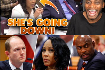🚨 Fani Willis FALLS APART as Georgia Senators DROP RECEIPTS on Live Camera — Faces Go Pale, Defenses Crumble, Explosive Evidence Sparks Gasps in the Room, and a Routine Hearing Spirals Into a Political Disaster That Could Permanently Alter Her Career and Shake Georgia Politics