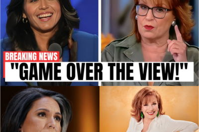 🚨 Tulsi Gabbard CALLS OUT Joy Behar in Explosive On-Air Clash — Smiles Drop, Voices Rise, the Audience Gasps, and a Blunt Confrontation Shatters the Script, Sending Shockwaves Through the Studio as Viewers Watch a Daytime Talk Show Suddenly Turn Into a No-Holds-Barred Political Showdown