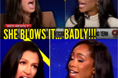 🚨 Stephen Miller’s Wife SHOCKS Nation, DESTROYS Her Own Life in Just 30 Seconds — Secrets Revealed, Family in Chaos, and the Fallout Everyone Will Be Talking About for Months! Congress, Media, and Social Media Explode as the Unthinkable Truth Comes Out LIVE.