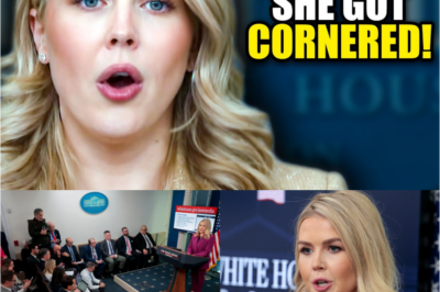 “Press Secretary ERUPTS as reporters refuse to accept her scripted lines — the briefing explodes into chaos, voices clash, and tension spikes as she struggles to regain control. Cameras catch every stunned reaction, leaving viewers asking: what question pushed the room past its breaking point?”