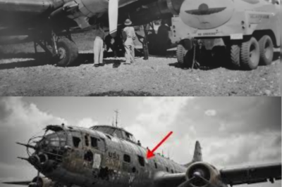 Engineers Called His B-25 Gunship “Impossible” — Until It Sank 12 Japanese Ships in 3 Days