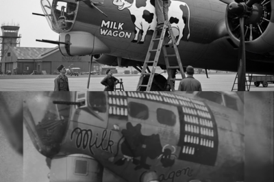 How One Mechanic’s “Stupid” Cow Paint Job Made His B-17 Unkillable