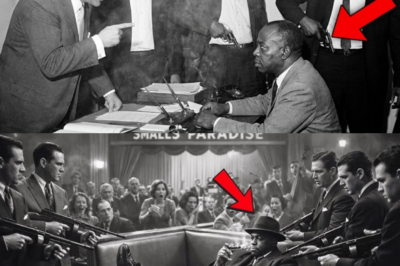 Mob Called Muhammad Ali “BOY” — Bumpy Johnson Declared WAR on the Entire Genovese Family 