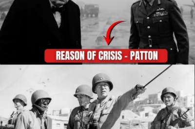 Churchill’s Epic Response to Montgomery Demanding Patton Be Fired!