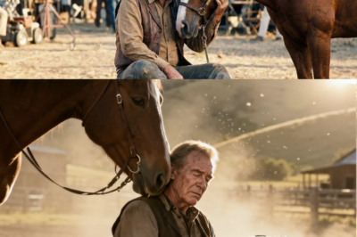 John Wayne’s Horse Sensed He Was Dying Before Anyone Else Did—Their Final Goodbye Will Break You 