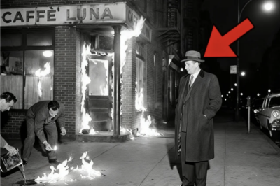 A Bar Owner Laughed When Carlo Gambino Asked for His Cut — The Bar Was on Fire Before Closing Time 